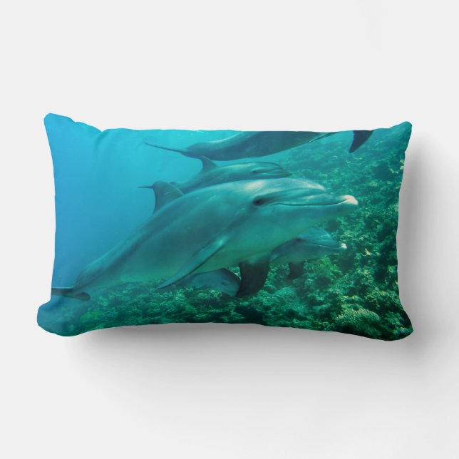 dolphin fish marine ocean under water swim lumbar cushion (Front)