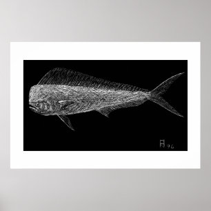 Dolphin fish poster