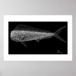 Dolphin fish poster