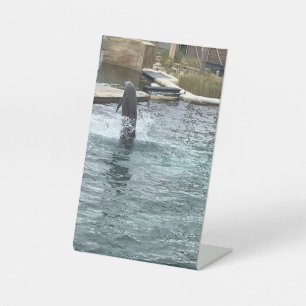 Dolphin flip pedestal sign