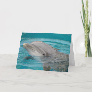 Dolphin Friend Hello Card
