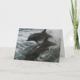 Dolphin Friendship/Love Note Card