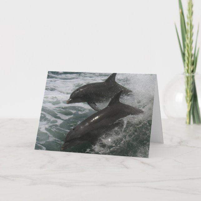 Dolphin Friendship/Love Note Card (Front)