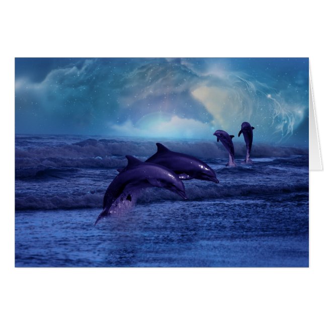 Dolphin fun and play (Front Horizontal)