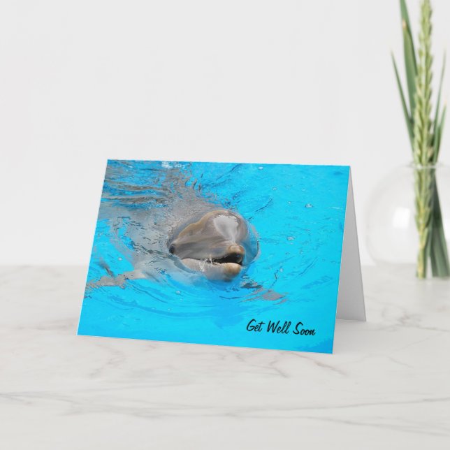 Dolphin Get Well Card (Front)