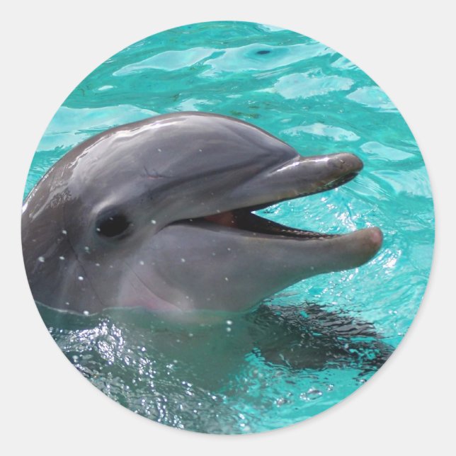 Dolphin head in aquamarine water classic round sticker (Front)