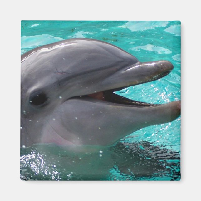 Dolphin head in aquamarine water magnet (Front)