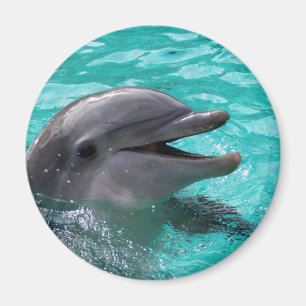Dolphin head in aquamarine water magnet