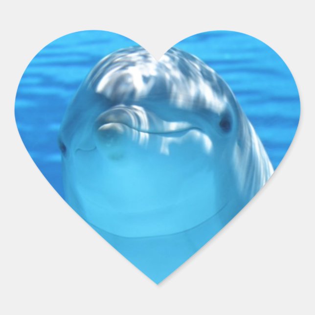 Dolphin Heart Sticker (Front)