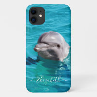 Dolphin in Blue Water Photo