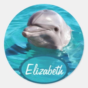 Dolphin in Blue Water Photo Classic Round Sticker