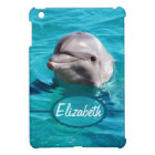 Dolphin in Blue Water Photo