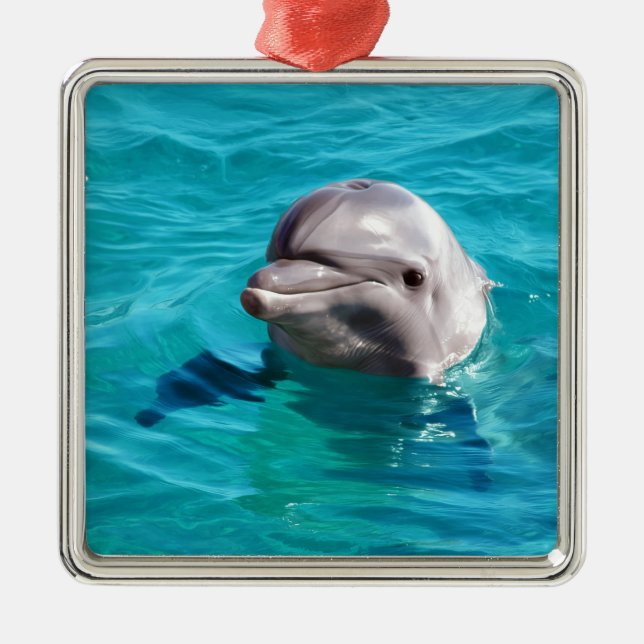 Dolphin in Blue Water Photo Metal Tree Decoration (Front)