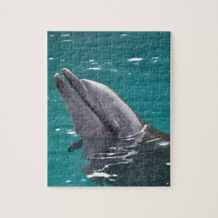 Dolphin In Green Jigsaw Puzzle