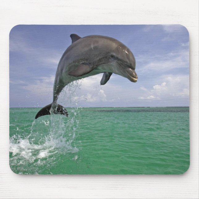 Dolphin in the wild Jumping Mouse Pad (Front)