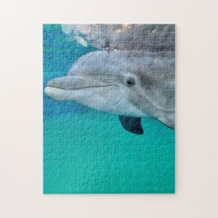 Dolphin Jigsaw Puzzle