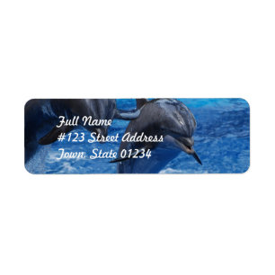 Dolphin Jumping  Mailing Labels