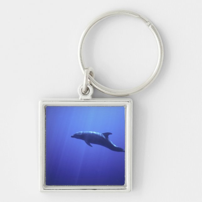 Dolphin Key Ring (Front)