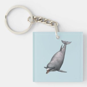Dolphin Key Ring