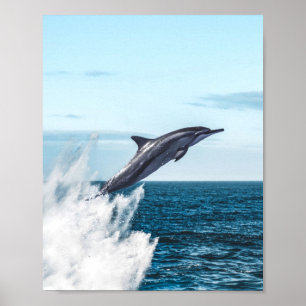 Dolphin leaping out of the ocean poster