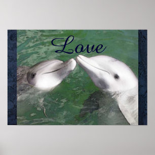 Dolphin Love Fish Water Marine Ocean Animal Cute Poster
