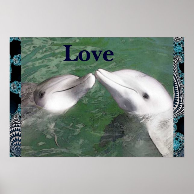 Dolphin Love Poster (Front)