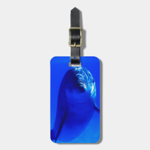 Dolphin Luggage Tag. Tag