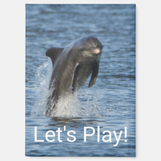Dolphin Magnet (Front)
