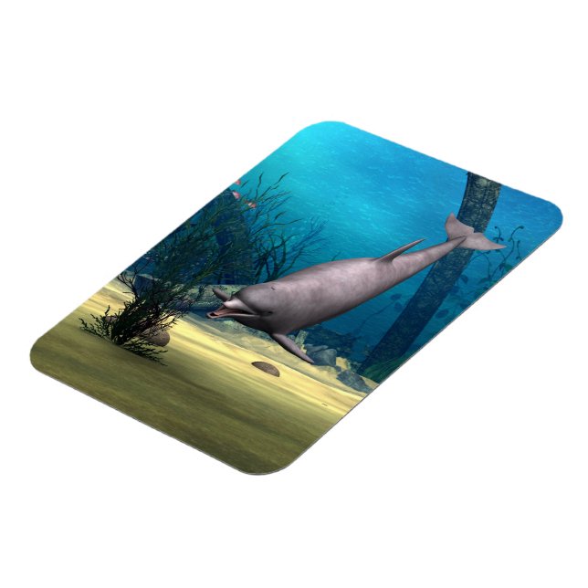 Dolphin Magnet (Left Side)