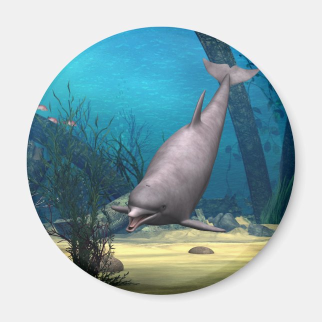 Dolphin Magnet (Front)