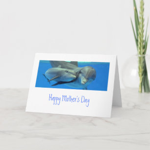 Dolphin Mother's Day Card