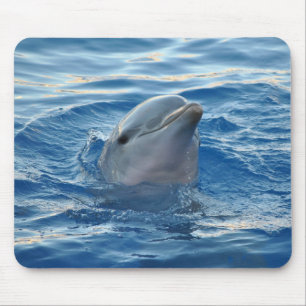 Dolphin Mouse Pad