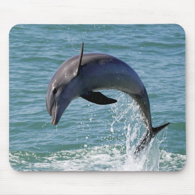 Dolphin Mouse Pad (Front)