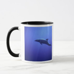 Dolphin Mug