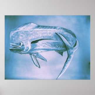 Dolphin on the Move Poster