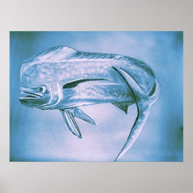 Dolphin on the Move Poster (Front)