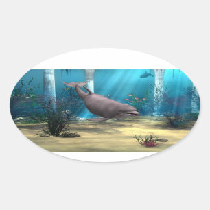 Dolphin Oval Sticker