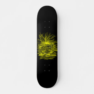 Dolphin pair in the Sunshine Skateboard