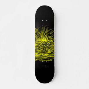 Dolphin pair in the Sunshine Skateboard