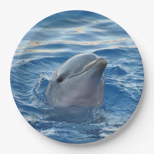 Dolphin Paper Plate (Front)