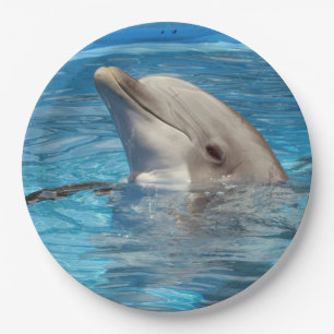 Dolphin Party Plates