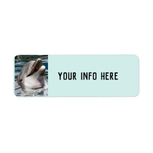 DOLPHIN PHOTOGRAPPHY RETURN ADDRESS LABELS