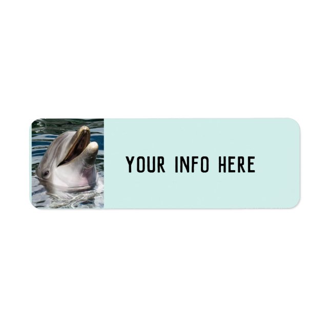 DOLPHIN PHOTOGRAPPHY RETURN ADDRESS LABELS (Front)