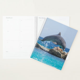 Dolphin Planner