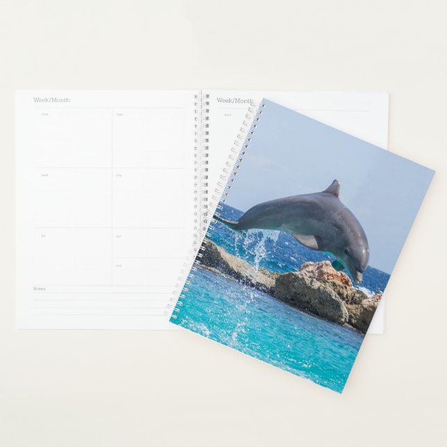 Dolphin Planner (Display)