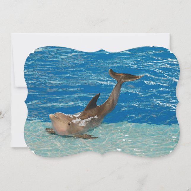 Dolphin Pose Invitation (Front)