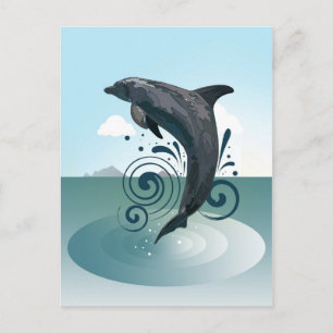 Dolphin Postcard