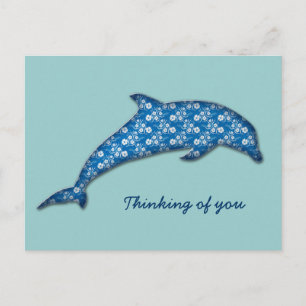 dolphin postcard