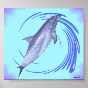 Dolphin Poster