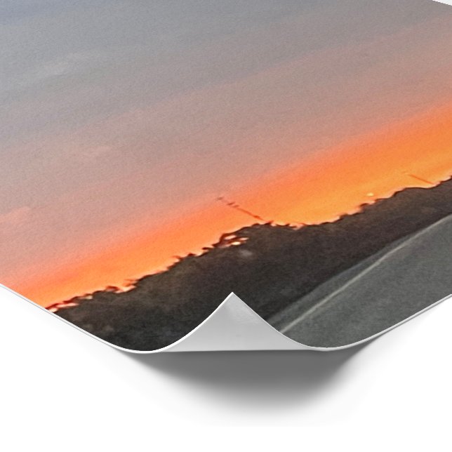 DOLPHIN  POSTER (Corner)